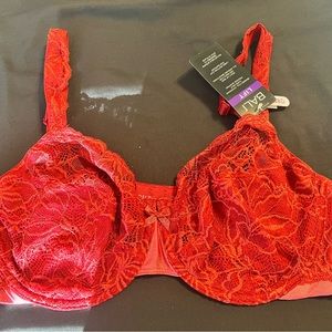Lace Desire Underwire Bra by Bali